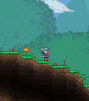 Gender Change Potion Usage