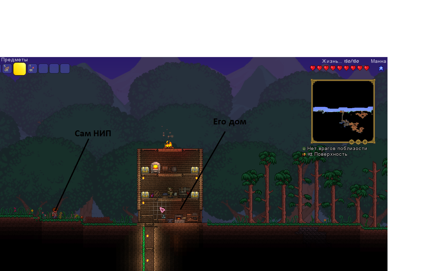 Terraria npc happiness scheme фото 80