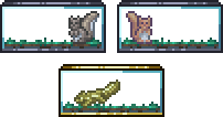 Placed Squirrels