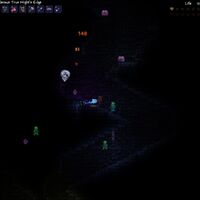 Giant Cursed Skull Terraria Wiki Fandom