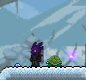 Turtle