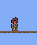 Terraria Item Life Crystal