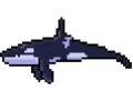 Orca