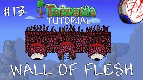 Wall of Flesh | Terraria Wiki | FANDOM powered by Wikia