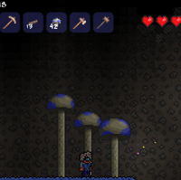 Enchanted Boomerang Terraria Wiki Fandom