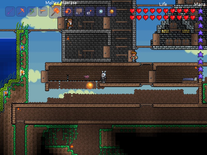 Known Bugs And Glitches  Terraria Wiki  FANDOM powered 