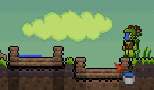 Terraria Water Dupe
