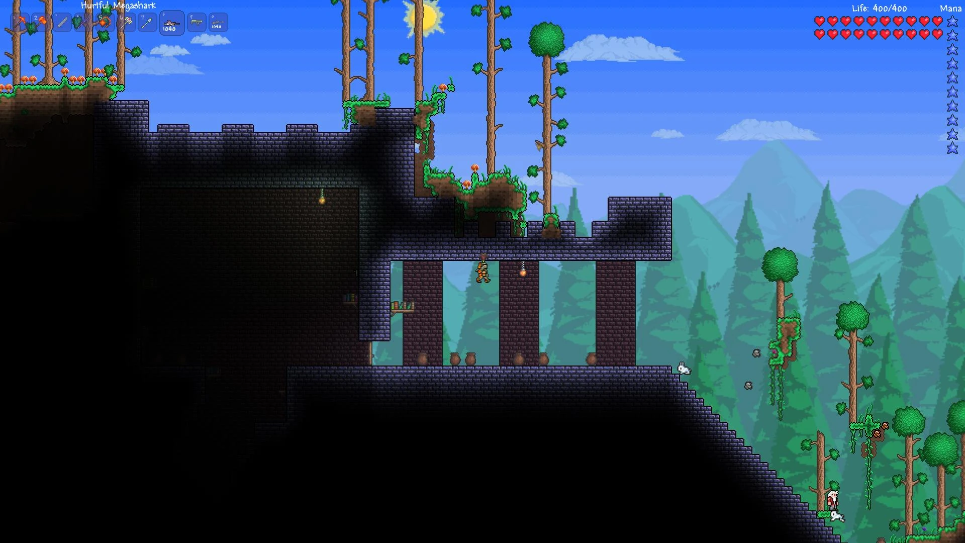 Image Player Hanging in the Entrance of a Dungeon.jpg Terraria Wiki