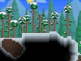Schneebiom