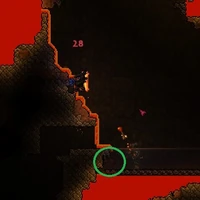 Cochineal Beetle Terraria Wiki Fandom