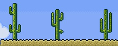 230px-48 Cacti