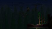Skeletron In-Game