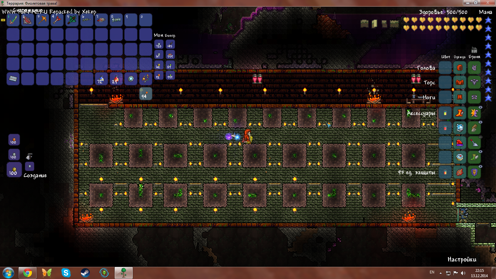 Rogue weapons terraria фото 83