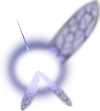 Navi
