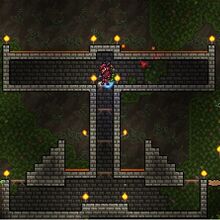 Giant Tortoise Terraria Wiki Fandom