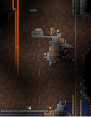 Nimbus rod bug