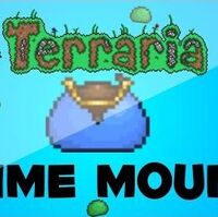 Slimy Saddle Terraria Wiki Fandom
