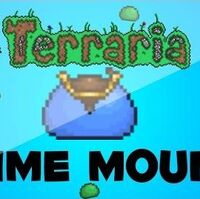 Slime Crown Recipe Terraria