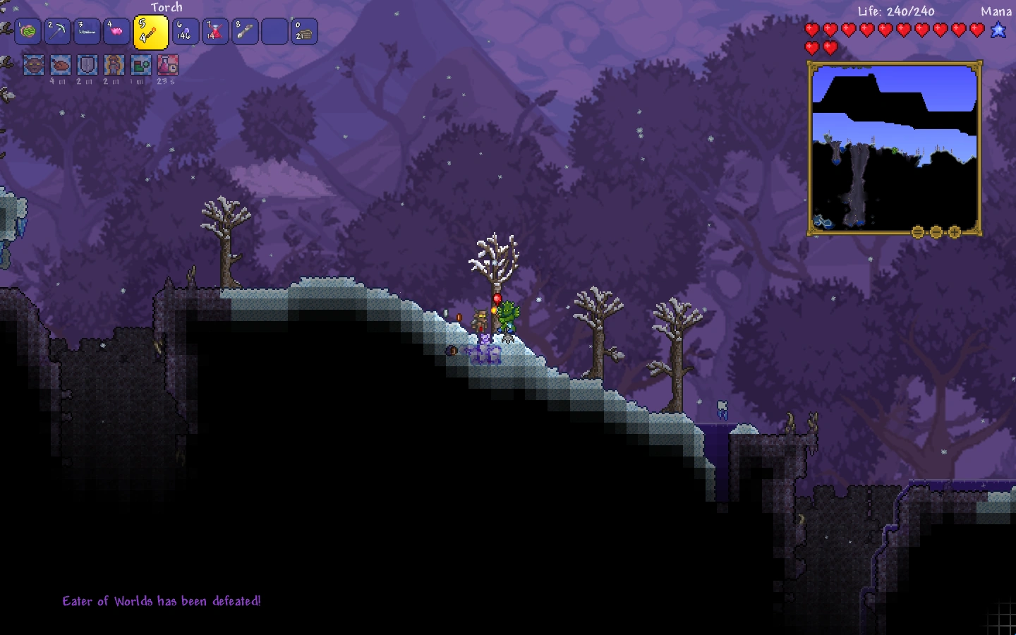 Amazon Yoyo Terraria Wiki Gogle Photos