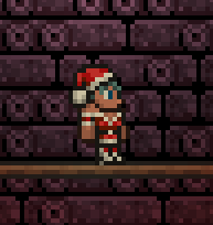 Ms clause outfit