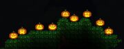 Jackolanterns