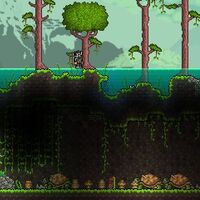Giant Tortoise Terraria Wiki Fandom