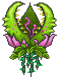 Plantera
