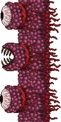 Wall of Flesh