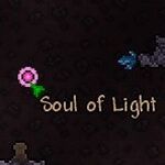 Soul Of Light Terraria Wiki Fandom