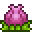 PlanteraBulb