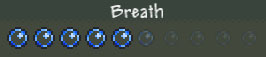 Breathgauge