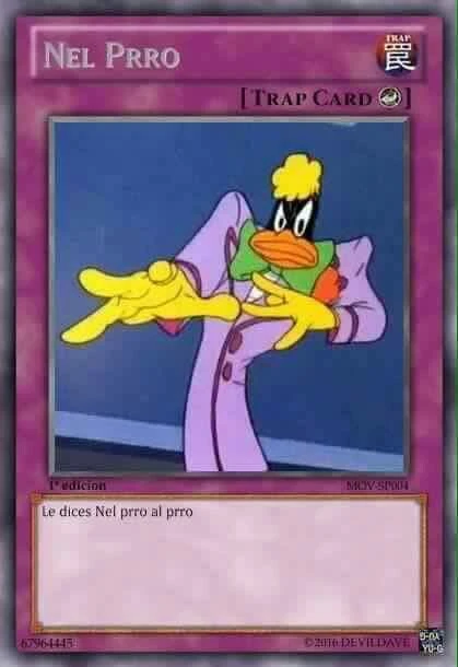 Imagen - Nel Prro.jpg  Wiki Terraria  FANDOM powered by 