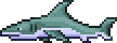 Shark-0