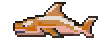 Copper shark