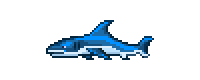 Blue shark