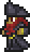 Pirate