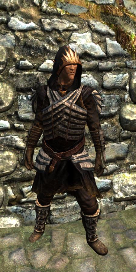 female armor skyrim mod