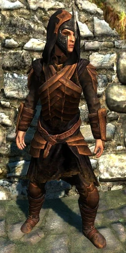 Bosmer Armor | The Elder Scrolls Mods Wiki | FANDOM powered by Wikia