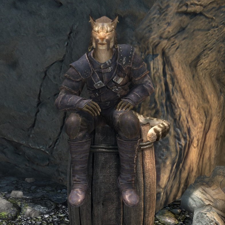 skyrim essential graphics mods skyrim essential graphics mods