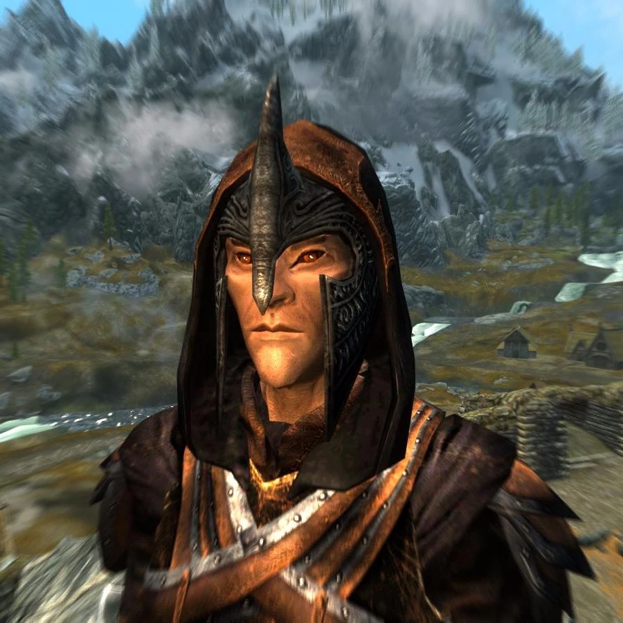Image - Bosmer Reinforced - Coif.jpg | The Elder Scrolls Mods Wiki