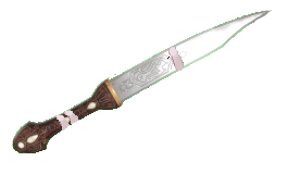 The Spell Knife