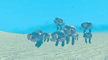 Gm castaway0017