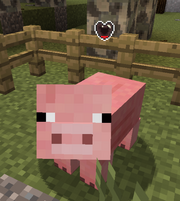 Pig familiar1
