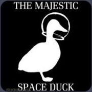 Space duck