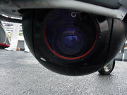 Nightlash Eye