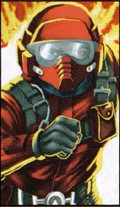Wild Weasel