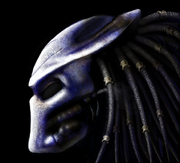 Predator