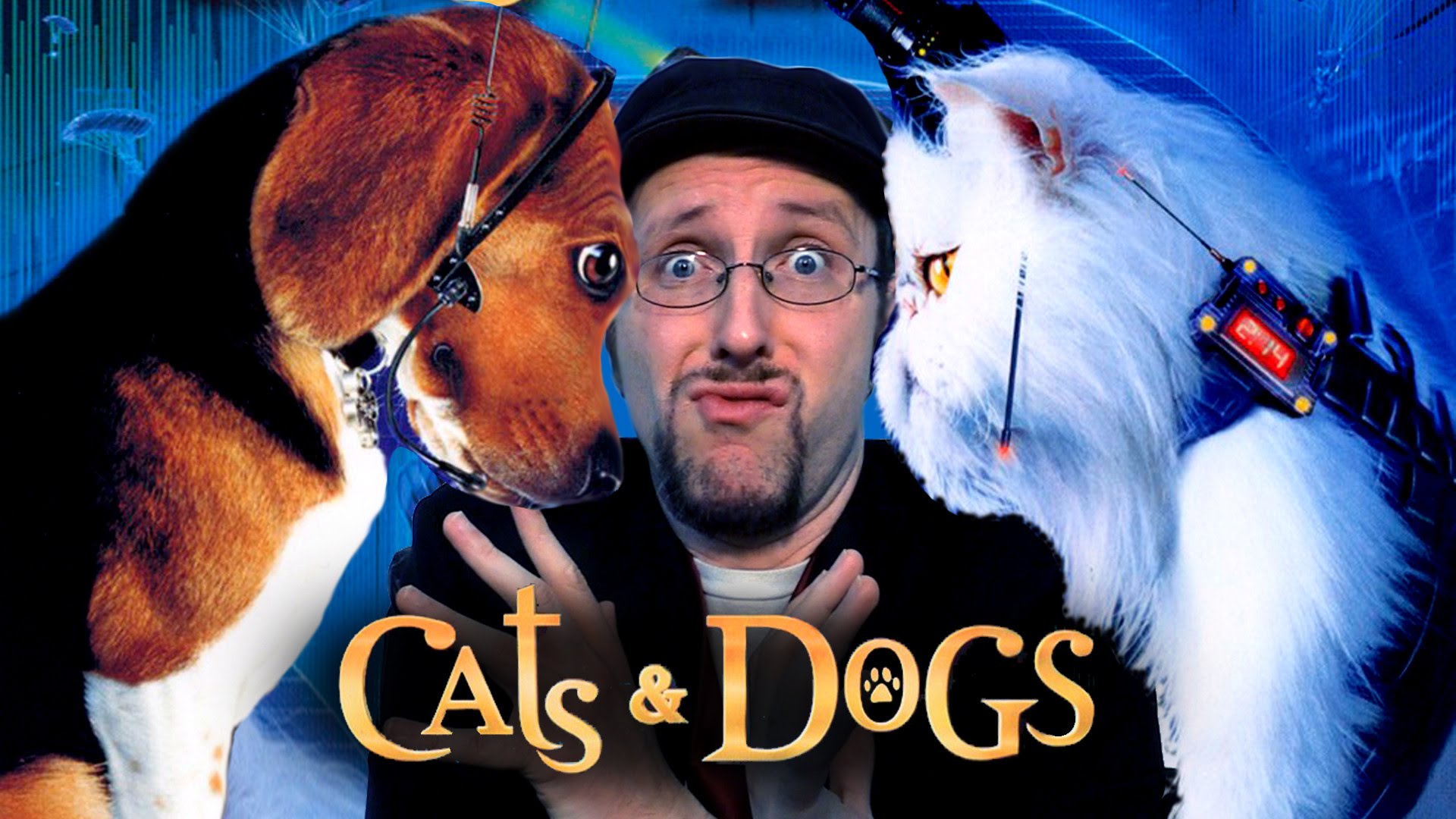 Cats and Dogs Channel Awesome FANDOM powered by Wikia