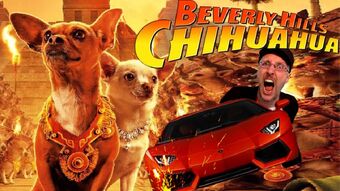Get Beverly Hills Chihuahua Channel Awesome Fandom Desktop Wallpaper Free Wallpaper Beverly Hills Chihuahua Channel Awesome Fandom Free HD