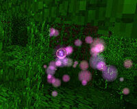 Wisp